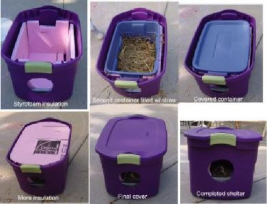 Winter Shelter Bins for Community Cats FAQ