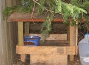 Outdoor cat food store shelter