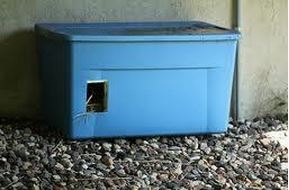 outdoor-litter-box