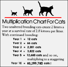 Multiplication chart for cats