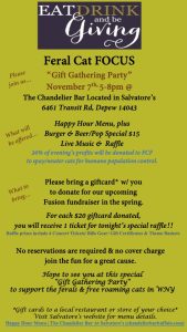 Gift Gathering Party Flyer