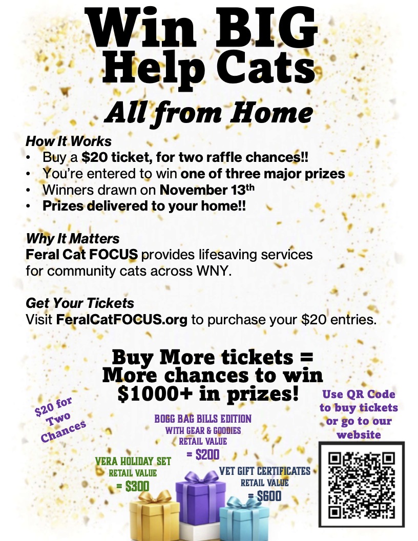 Feral Cat Focus Fundraiser Flyer