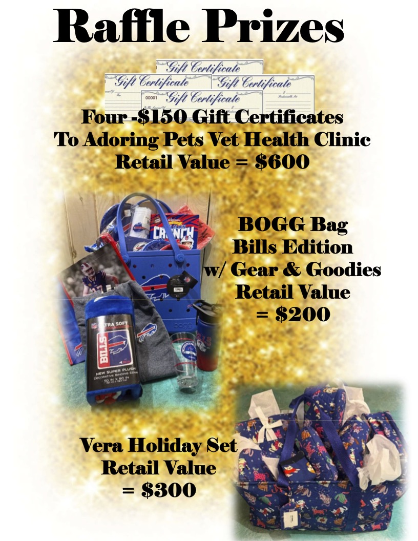Feral Cat Focus Fundraiser Flyer